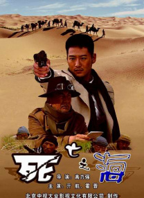 久久精品国产亚洲网址
